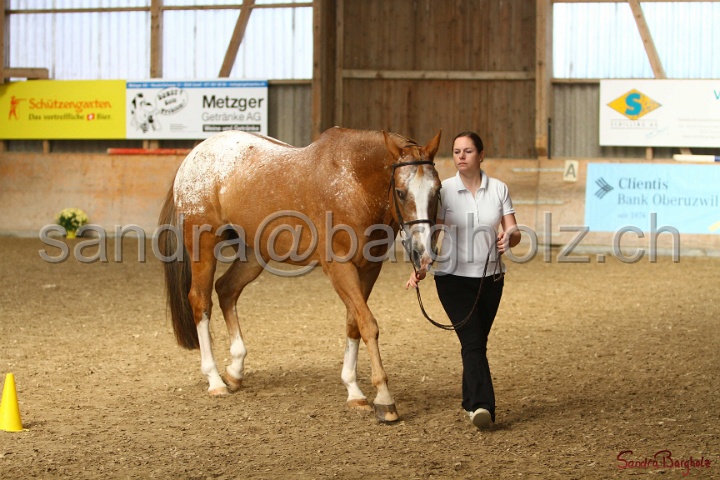 24-ApHC HIH_088.jpg